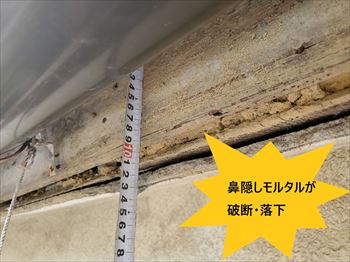 鼻隠し　モルタル　破断